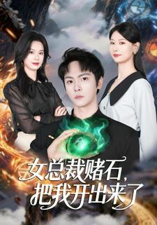 女总裁赌石把我开出来了封面图
