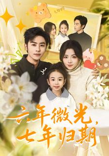 六年微光七年归期封面图