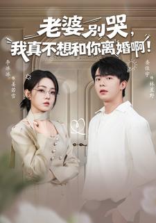 老婆别哭我真不想和你离婚啊封面图