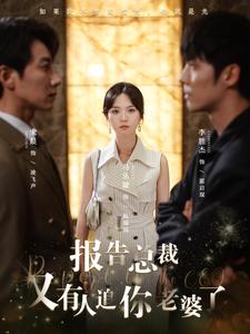 报告总裁又有人追你老婆了封面图