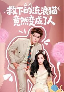 救下的流浪猫竟然变成了人