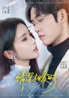 情深相爱时封面图